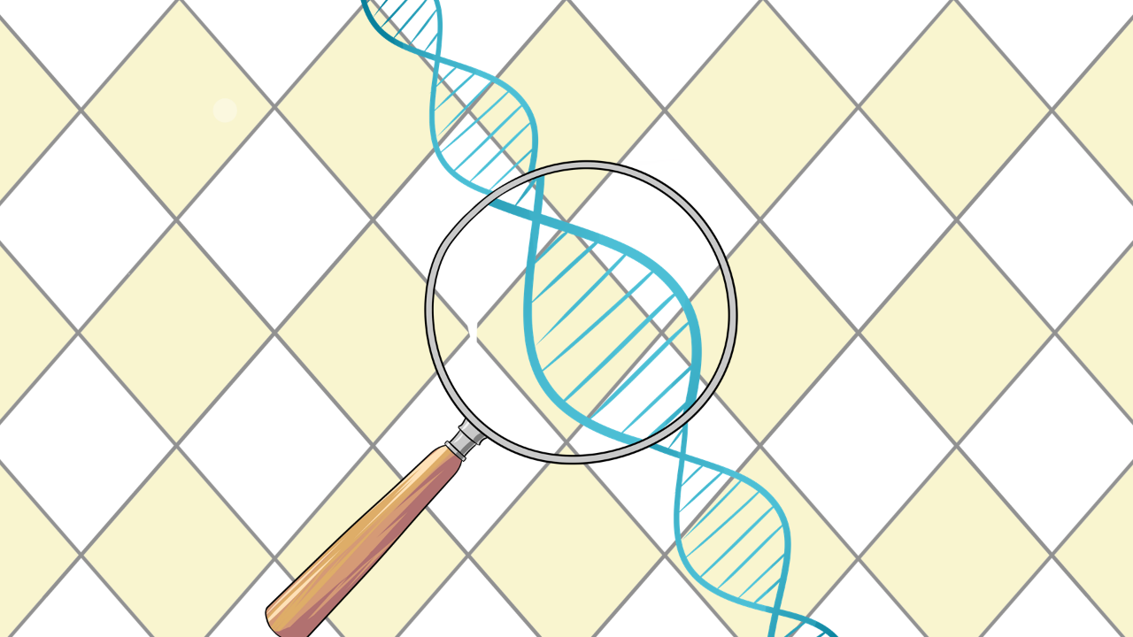 8b33-ikrsesr6046972.png 8b33-ikrsesr6046972.png